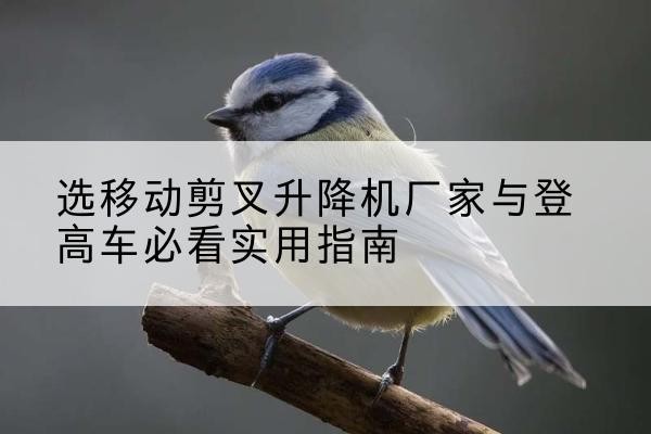 南川区电动升降机厂家-选移动剪叉升降机厂家与登高车必看实用指南