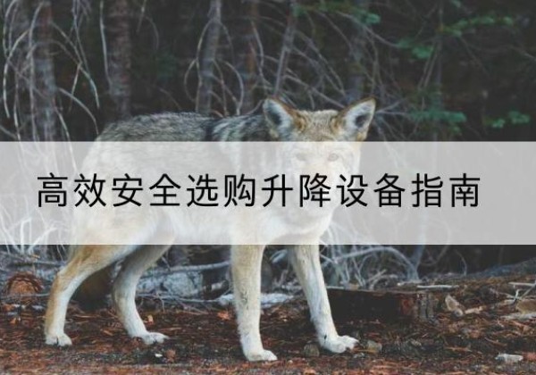 南川区升降货梯厂家推荐-*安全选购升降设备指南