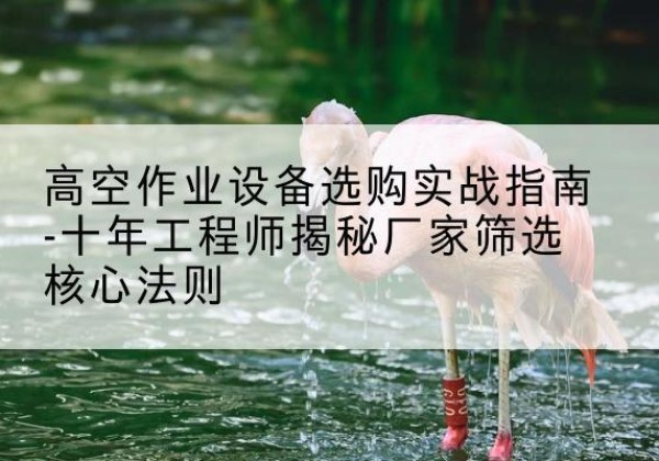 南川区剪叉式升降机厂家-高空作业设备选购实战指南-十年工程师揭秘厂家筛选核心法则